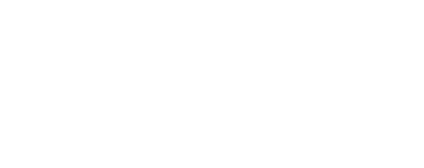 logo payver white-8